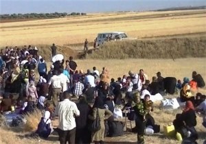Syrian Refugees