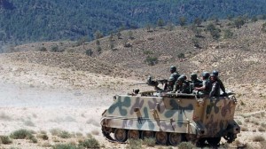 Tunisian soldiers