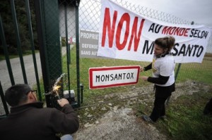 GMO protests