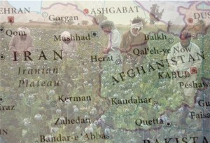 Afghanistan drug production