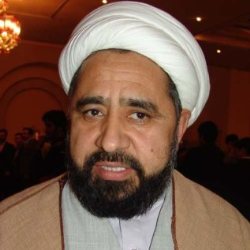 Allama Amin Shaheedi
