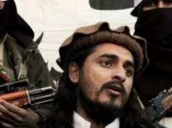 tariq mehsood