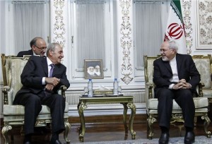 zarif and berry