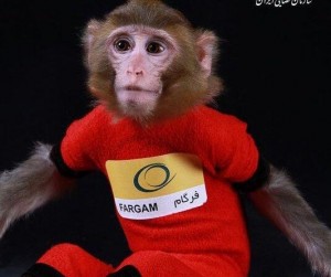 fargam