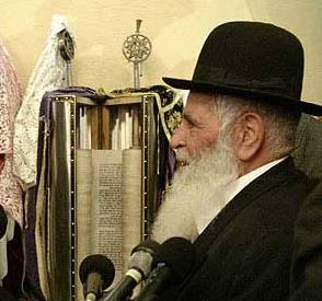 hamedani cohen