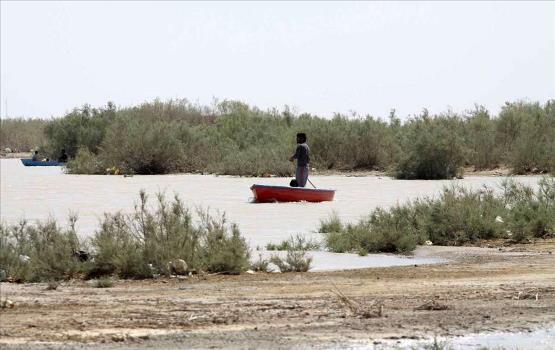 hamoon lake2