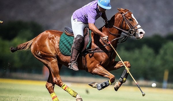 Polo