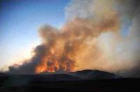 forest fire
