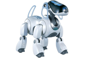 robot