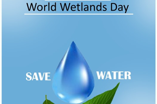 World wetland day poster