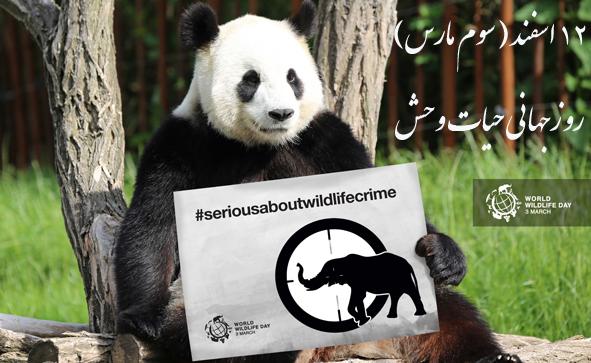 wildlifeday